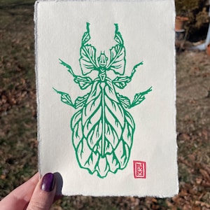 Puede incluir: Un grabado en linóleo verde de un insecto hoja sobre papel texturizado. El insecto está representado con detalles en forma de hoja. Un pequeño cuadrado rojo con las iniciales "KRW" está en la esquina inferior derecha. La impresión se sostiene frente a un fondo borroso al aire libre.