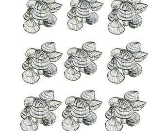 Printable Cockle Shells Illustration, Digital Download Shell Illustration. Black and White Illustration