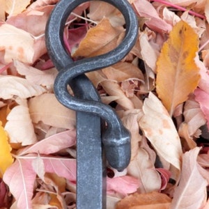 May include: A hand-forged, dark gray metal garden stake with a snake design. The stake features a coiled snake head at the top and a straight, rectangular shaft. The background is filled with colorful autumn leaves.