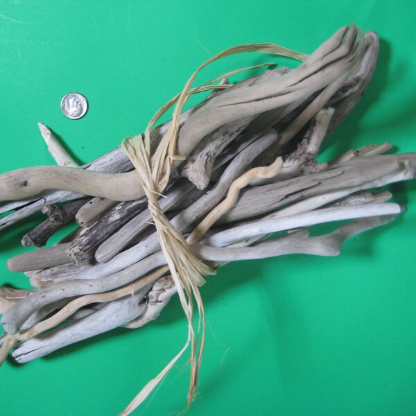 Driftwood--California Beach Supplies--21 Pieces of Driftwood--Art Supplies Drift Wood--Lot 115