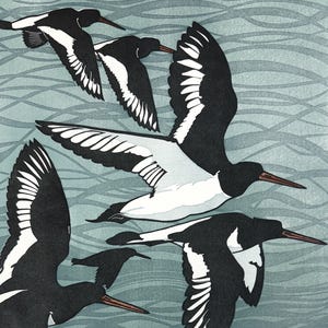 Linocut of Flying Oystercatchers