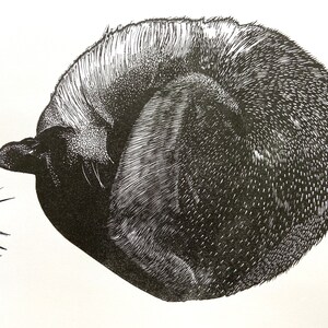 Linocut print of Sleeping cat image 2