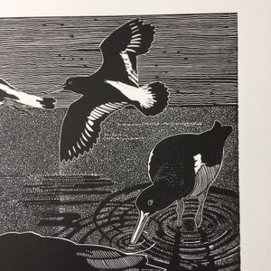 Linocutprint of Oystercatchers image 5