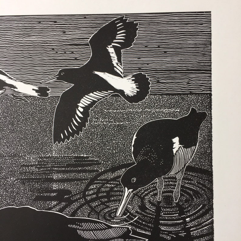 Linocutprint of Oystercatchers image 5