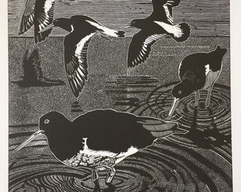 Linocutprint of Oystercatchers