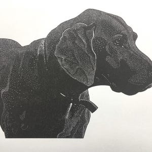 Linocut print of a Weimaraner