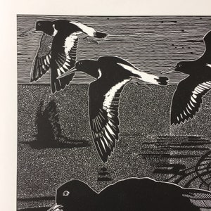 Linocutprint of Oystercatchers image 6