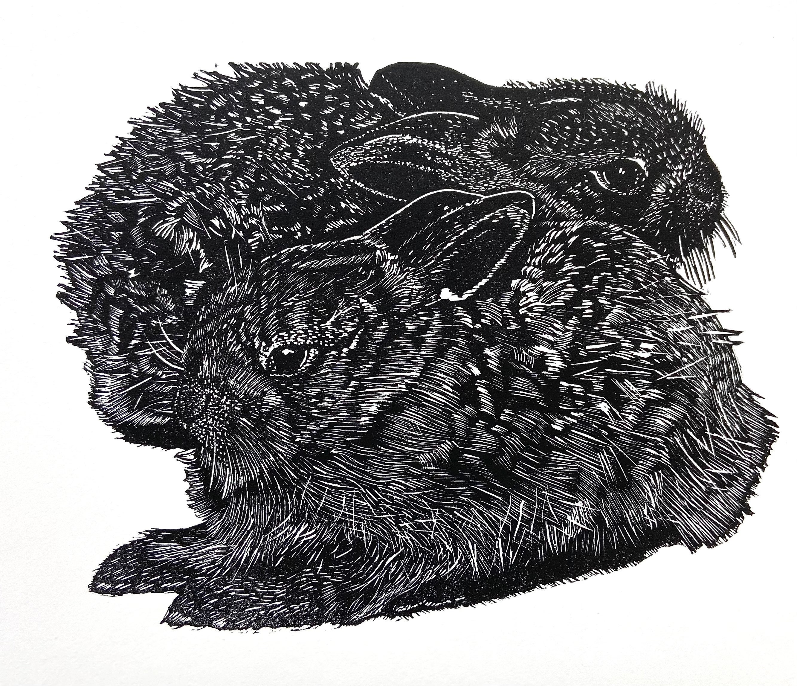 Linocut of two baby hares