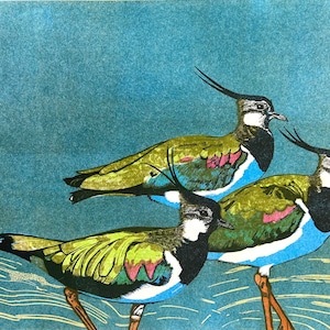 Linocut of Lapwings