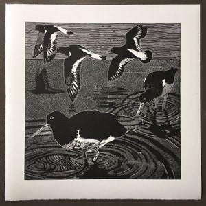 Linocutprint of Oystercatchers image 2