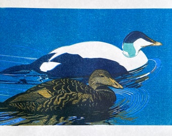 Linocut de patos de Eider