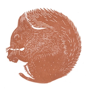 May include: A brown linocut print of a squirrel in a curled position, holding a nut. The squirrel's fur is detailed with textured lines, and the image is set against a white background. The artwork has a rustic, handmade feel.