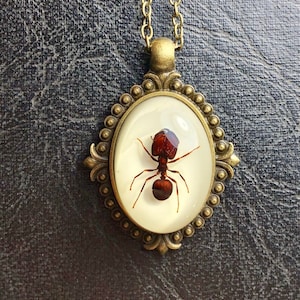 Real Big Head Giant Red Ant Specimen Cameo Resin Entomology Bug Necklace Picnic Crasher