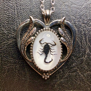 Skorpion Schwarzes Herz Echter Skorpion Entomologie Totes Insekt Bug Specimen in Harz Cameo Silber Rolle Statement Halskette