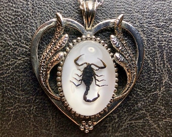 Scorpio Black Heart Real Scorpion Entomology Dead Insect Bug Specimen in Resin Cameo Silver Scroll Statement Necklace