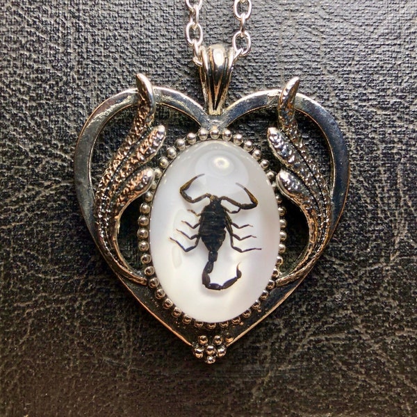 Scorpio Black Heart Real Scorpion Entomology Dead Insect Bug Specimen in Resin Cameo Silver Scroll Statement Necklace