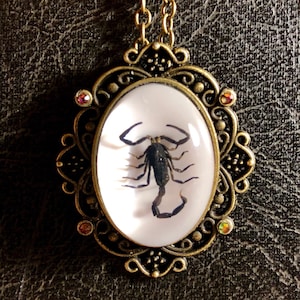 Skorpion Schwarzer Skorpion Entomologie Totes Insekt Bug Specimen in Resin Cameo Mit AB Color Shift Strasssteine Bronze Spitze Halskette
