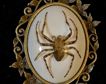 Ornate Bronze Floral Brooch Big Ghost Spider Specimen in Resin Arachnid Cameo Entomology Goth Pin or Vulture Culture Necklace