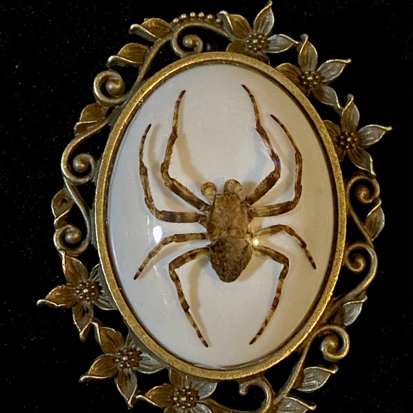 Broche florale en bronze ornée de gros spécimen d'araignée fantôme en résine, camée d'arachnides, entomologie, épingle gothique ou collier de culture vautour