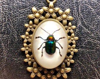 Rainbow Metallic Green Leaf Bronze Flower Insect Real Preserved Specimen in Resin Cameo Flower Frame Vulture Culture Entomology