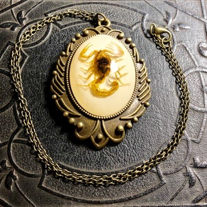Huge Real Golden Yellow Scorpion Specimen in White Resin Cameo Flower Scroll Entomology Vulture Culture Bug Necklace image 3
