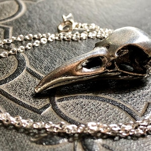 Realistic Crow Cast Metal Bird Skull Heavy Metal Crow Skull Replica Necklace Pendant on Fine Silver Tone Chain