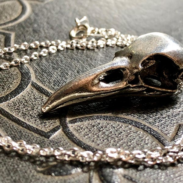 Realistic Crow Cast Metal Bird Skull Heavy Metal Crow Skull Replica Necklace Pendant on Fine Silver Tone Chain