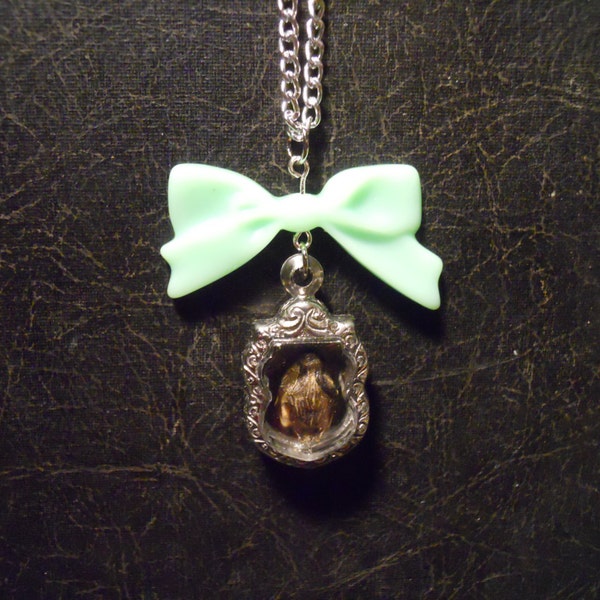 Tiny Baby Turtle Head Ossuary Preserved Specimen Taxidermy Necklace