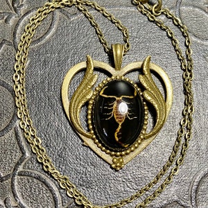 Echt Golden Gelb Bark Skorpion Schwarz Probe Bronze Herz Harz Entomologie Insekt Geier Kultur Baby Bug Halskette