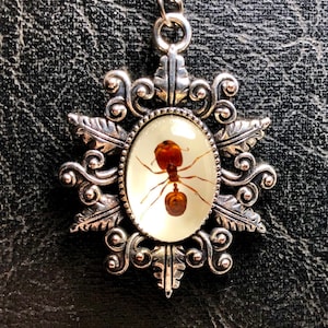 Real Tiny Big Head Giant Red Ant Specimen Cameo Resin Entomology Bug Vulture Culture Leaves Necklace Picnic Crasher