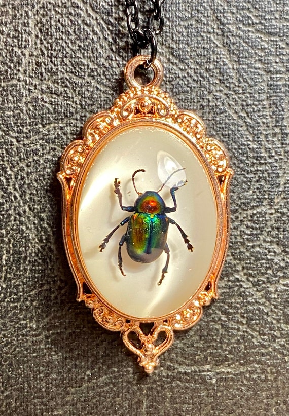Real Rainbow Beetle Insect Preserved Specimen in Resin Cameo Rose