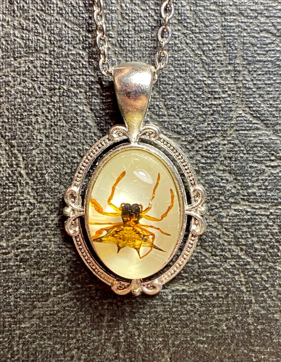 Real spider hotsell jewelry