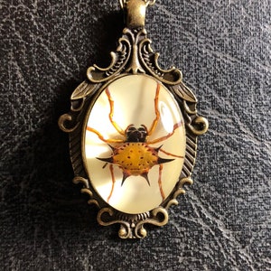 Real Spider Spiny Orb Weaver  Specimen in Resin Cameo Bronze Necklace Vulture Culture Arachnophobia Baroque Scroll Jewelry