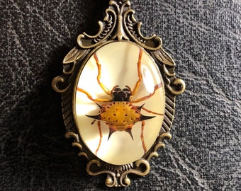 Real Spider Spiny Orb Weaver  Specimen in Resin Cameo Bronze Necklace Vulture Culture Arachnophobia Baroque Scroll Jewelry