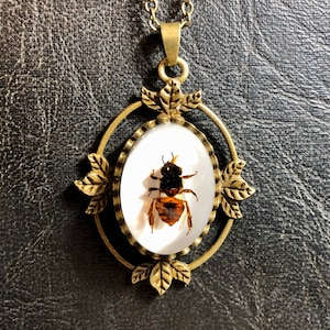 May include: A gold-toned necklace with a pendant featuring a bee encased in resin. The pendant is surrounded by a decorative frame with leaf accents.