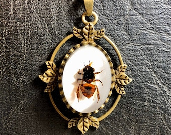 Real Honey Bee Specimen on Open Halo Frame with Leaves Bezel in Resin Insect Cameo Entomology Bug Vulture Culture Necklace