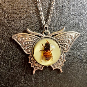 Puede incluir: Un collar con un colgante de mariposa plateado, adornado con una cúpula de resina transparente que contiene una abeja conservada. La abeja es marrón y negra con alas visibles.