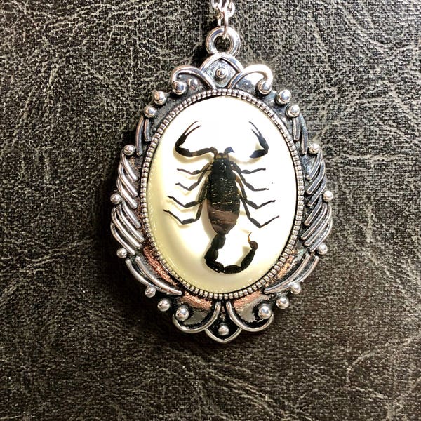 Huge Black Scorpion Arachnid Specimen in Resin Cameo Dead Bug Entomology Vulture Culture Necklace