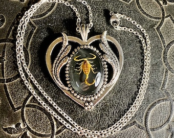 Real Golden Yellow Bark Scorpion Black Specimen Silver Heart Resin Entomology Insect Vulture Culture Baby Bug Scorpio Valentine Necklace