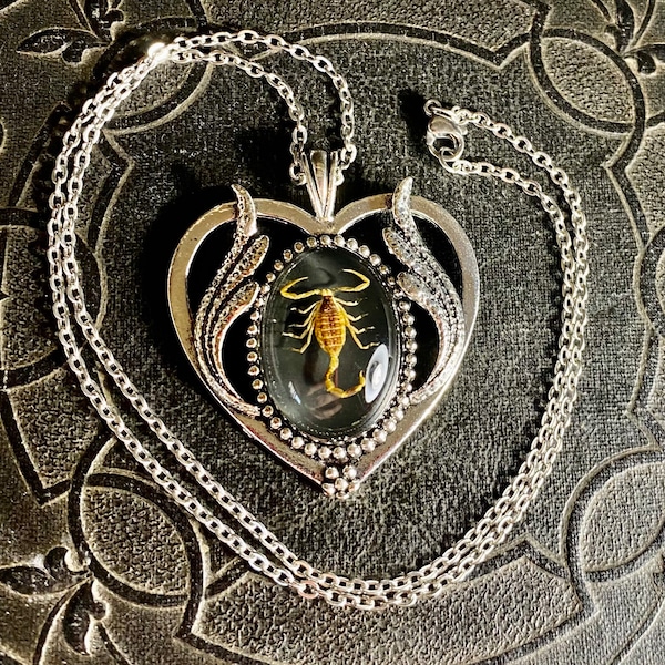 Real Golden Yellow Bark Scorpion Black Specimen Silver Heart Resin Entomology Insect Vulture Culture Baby Bug Scorpio Valentine Necklace