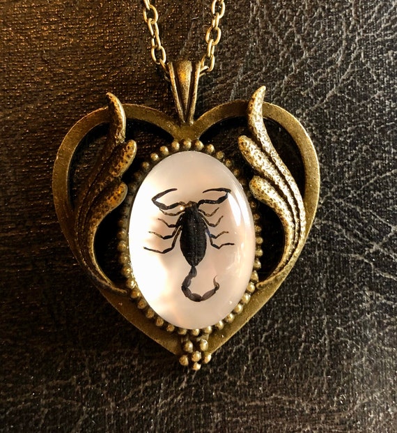 Bronze Scorpio Black Heart Real Scorpion Entomology Dead Insect Bug Specimen in Resin Cameo Scroll Statement Necklace