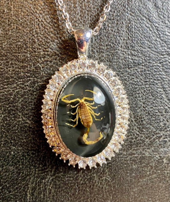 Real Golden Scorpion Clear Glass Rhinestone Sparkle Specimen in
