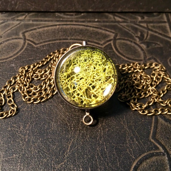 Organic Lichen Specimen Nature Ball Moss Terrarium Orb Living Bright Green Magnifier Sphere Spinner Bronze Metal LONG Necklace
