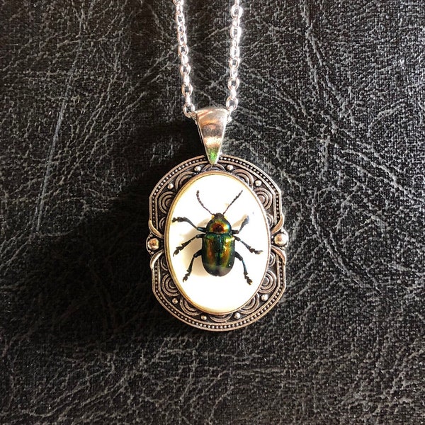 Real Rainbow Leaf Beetle Insect Preserved Specimen in Resin Cameo Silver Square Western Boho Frame Vulture Culture Necklace