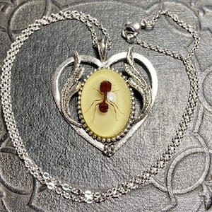 Real Big Head Giant Red Ant Specimen Silver Heart Shaped Cameo Resin Entomology Bug Necklace Picnic Crasher