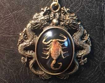 Massive Huge Double Dragon Golden Yellow Scorpion Real Entomology Specimen Cameo Vulture Culture Bug Scorpio Necklace