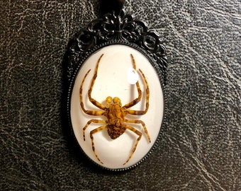 Real Black Leaf Ghost Spider Specimen in Resin Cameo Vulture Culture Preserved Arachnid Real Insect Black Fleur De Lis Necklace