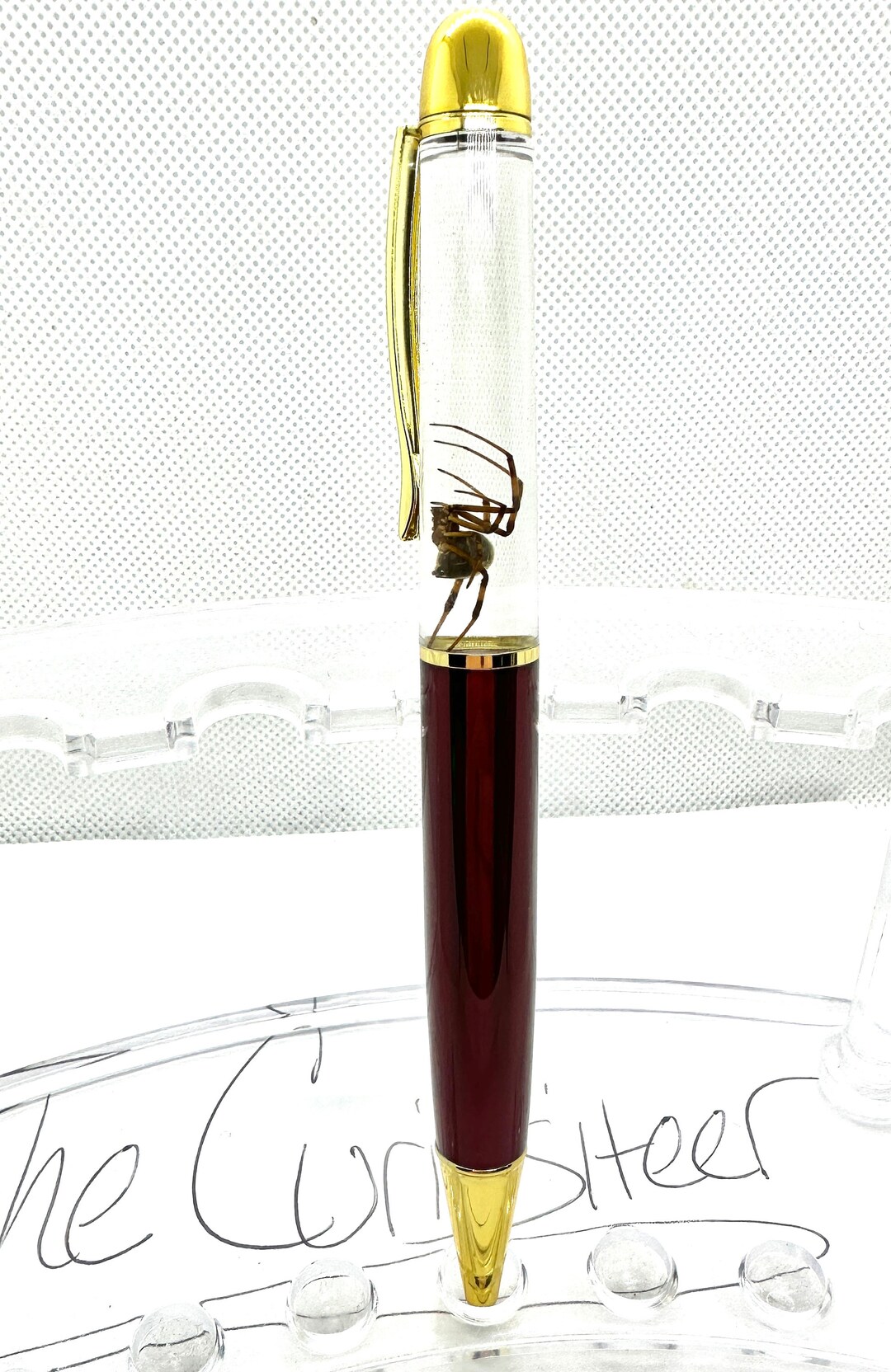 Real Black Widow Specimen Ink Pen Spider Arachnid Bug Floating - Etsy