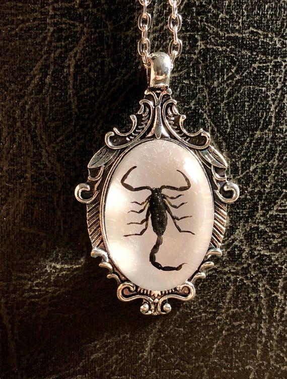 Black 2024 scorpion necklace