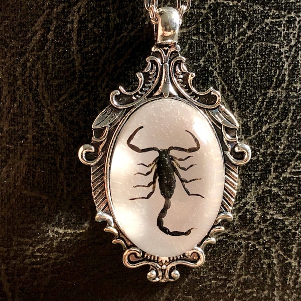 Real Scorpio Black Scorpion Entomology Dead Insect Bug Specimen in Resin Cameo Shield Silver Scroll Vulture Culture Jewelry Necklace